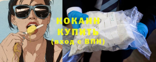 мдпв Дмитров
