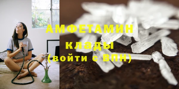 мдпв Дмитров