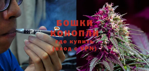 мдпв Дмитров
