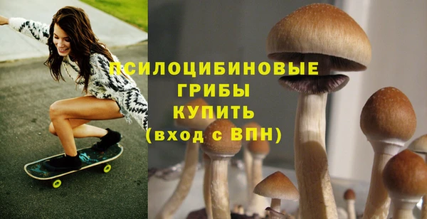 мдпв Дмитров