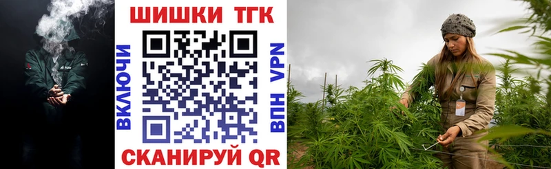 Купить закладки  Киржач  Бошки марихуана конопля 